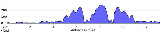 Half Marathon Elevation Profile